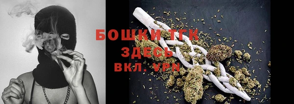 спайс Алексин