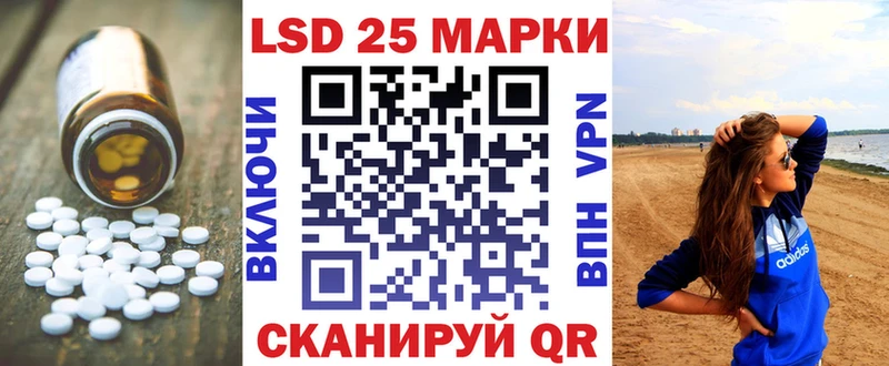 где купить наркотик  Новая Ладога  Лсд 25 экстази ecstasy 