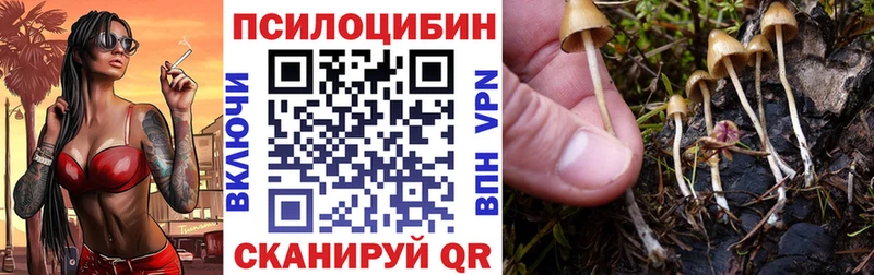 Галлюциногенные грибы Psilocybine cubensis  ссылка на мегу как зайти  Новая Ладога 