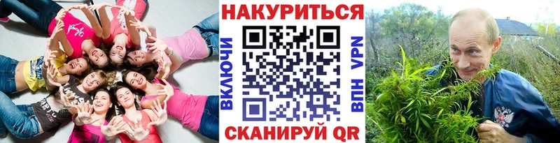 Бошки Шишки Amnesia Новая Ладога